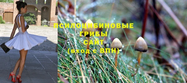 гидропоника Белоозёрский